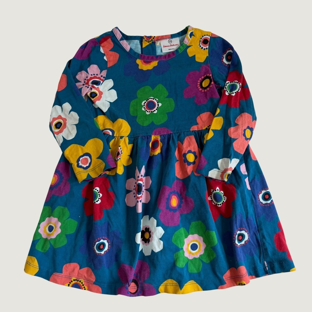 Hanna Andersson Floral Print Skater Dress Size 100